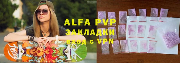 шишки Магас