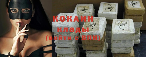 шишки Магас