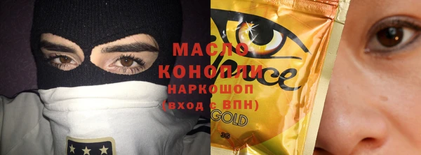 шишки Магас