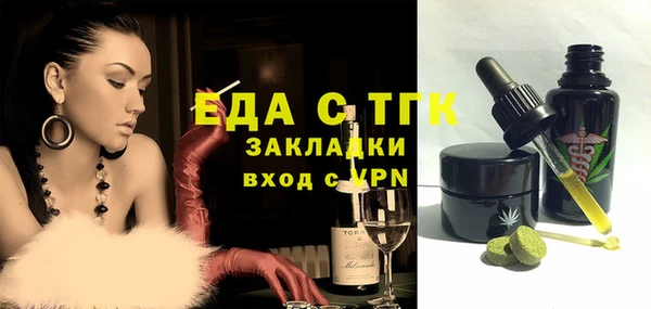 шишки Магас