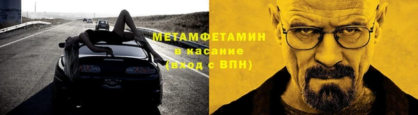 шишки Магас
