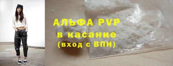 шишки Магас