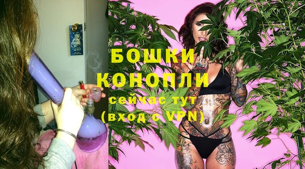 шишки Магас