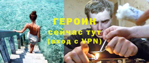 шишки Магас