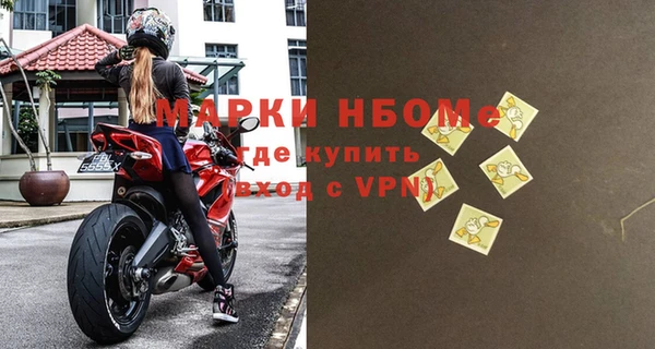 шишки Магас