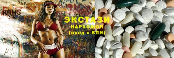 шишки Магас