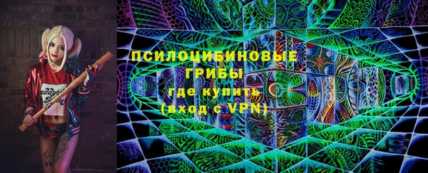 шишки Магас