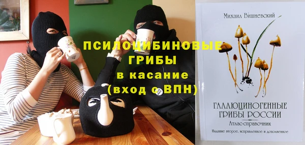 шишки Магас