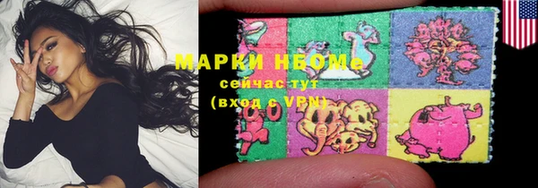 шишки Магас