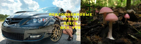 jwh Майский
