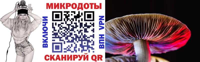 как найти закладки  Реутов  Галлюциногенные грибы мицелий 