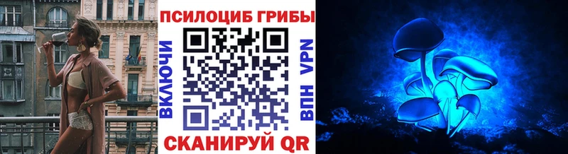 Псилоцибиновые грибы Psilocybine cubensis Реутов